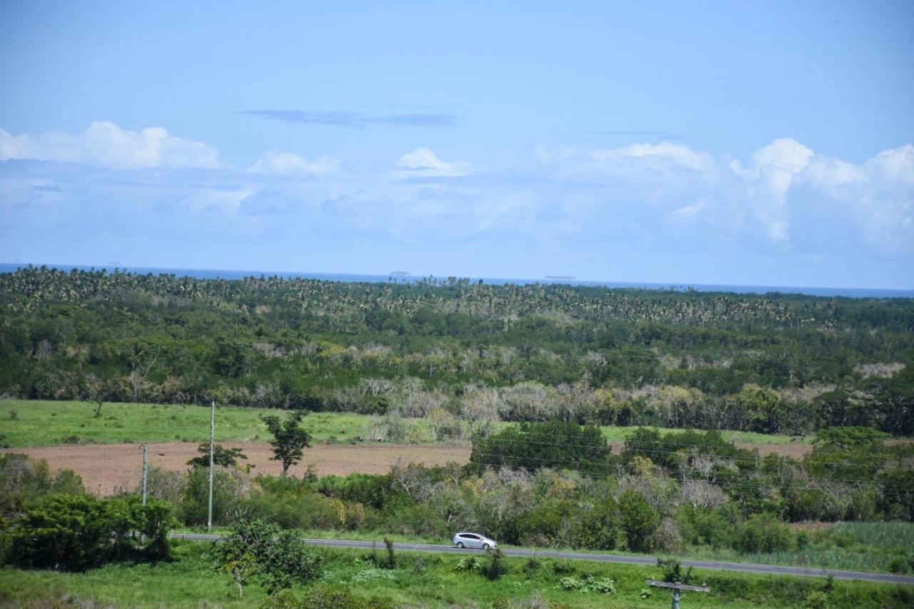 Best View Apartments Нанди Экстерьер фото